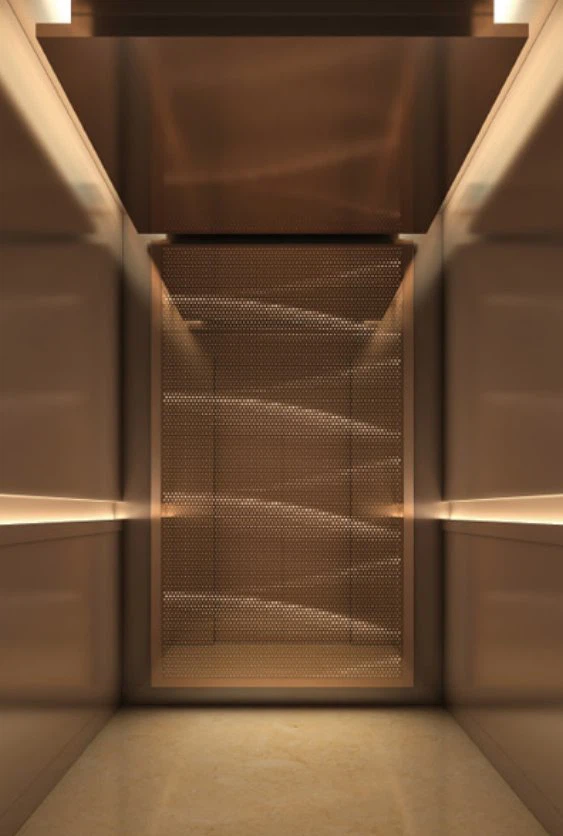 Otel Yolcu Asansörü